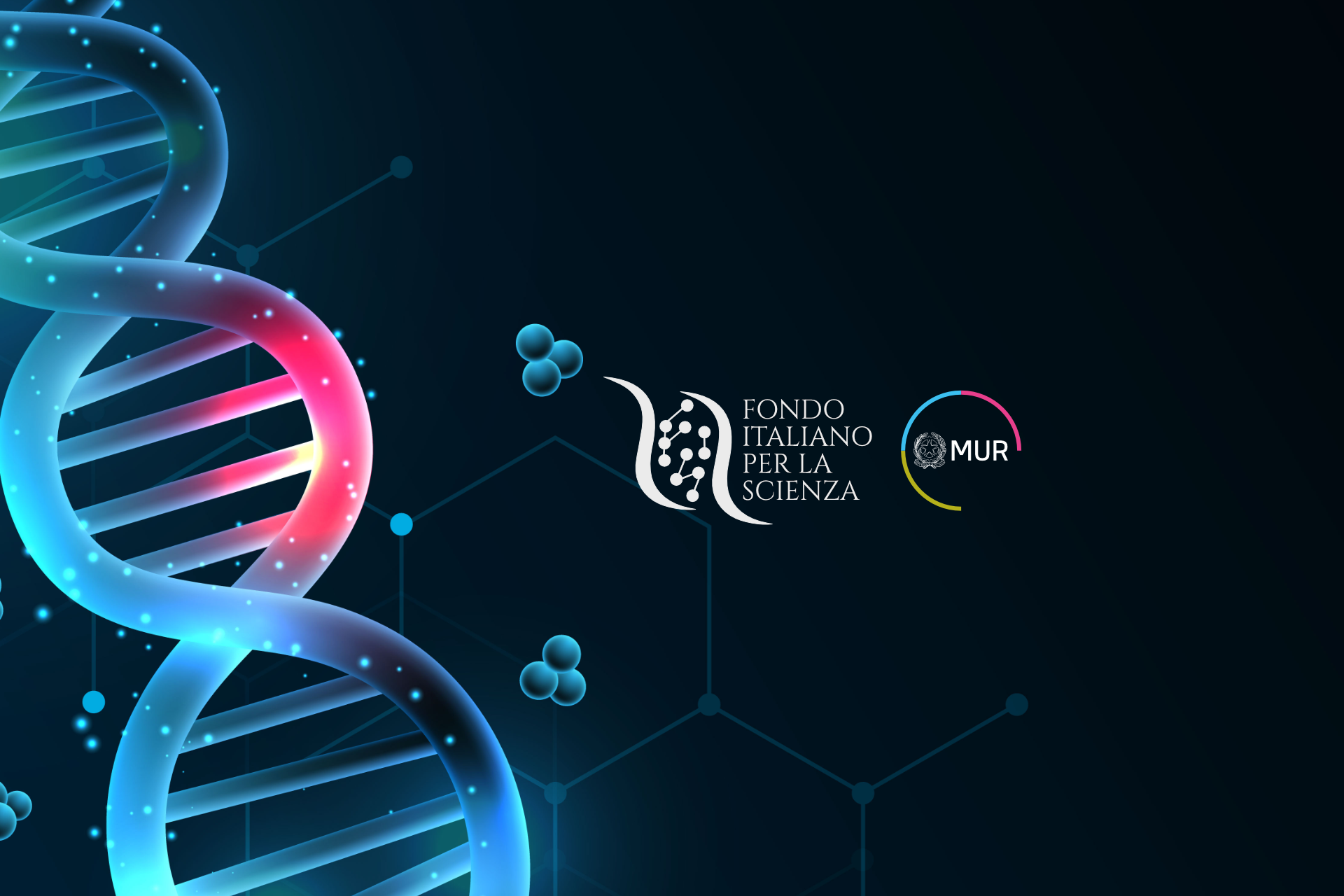 Bando FIS FAQ BANDO FIS